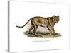 Tiger, 1860-null-Stretched Canvas