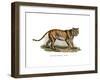 Tiger, 1860-null-Framed Giclee Print