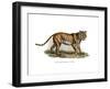 Tiger, 1860-null-Framed Giclee Print