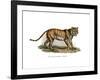Tiger, 1860-null-Framed Giclee Print