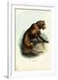 Tiger, 1863-79-Raimundo Petraroja-Framed Giclee Print