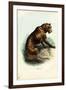 Tiger, 1863-79-Raimundo Petraroja-Framed Giclee Print