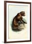 Tiger, 1863-79-Raimundo Petraroja-Framed Giclee Print