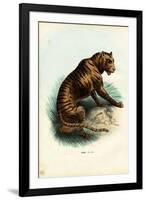Tiger, 1863-79-Raimundo Petraroja-Framed Giclee Print