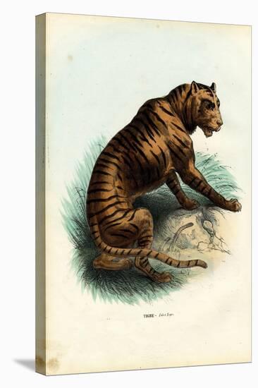 Tiger, 1863-79-Raimundo Petraroja-Stretched Canvas