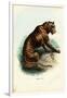 Tiger, 1863-79-Raimundo Petraroja-Framed Giclee Print