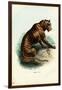 Tiger, 1863-79-Raimundo Petraroja-Framed Giclee Print