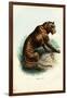 Tiger, 1863-79-Raimundo Petraroja-Framed Giclee Print