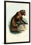 Tiger, 1863-79-Raimundo Petraroja-Framed Giclee Print