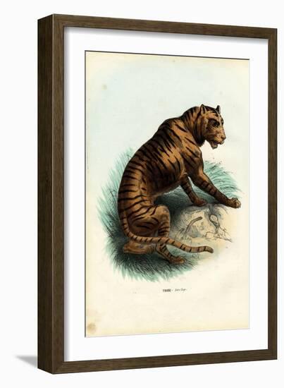 Tiger, 1863-79-Raimundo Petraroja-Framed Giclee Print