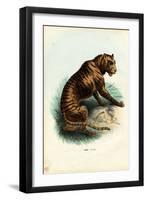 Tiger, 1863-79-Raimundo Petraroja-Framed Giclee Print