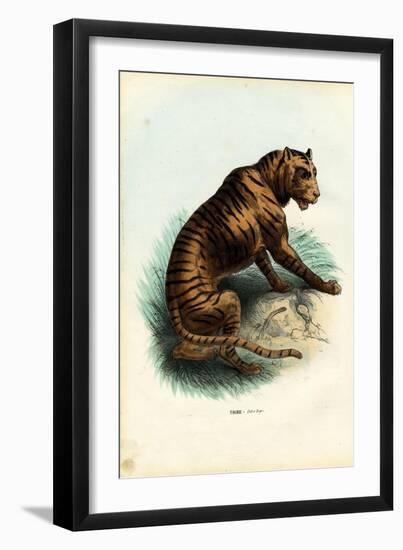 Tiger, 1863-79-Raimundo Petraroja-Framed Giclee Print