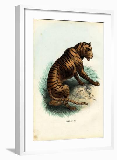 Tiger, 1863-79-Raimundo Petraroja-Framed Giclee Print