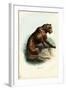 Tiger, 1863-79-Raimundo Petraroja-Framed Giclee Print