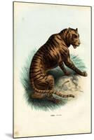 Tiger, 1863-79-Raimundo Petraroja-Mounted Giclee Print