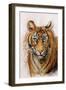 Tiger, 2013 (Pastel)-Faisal Khouja-Framed Giclee Print