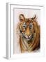 Tiger, 2013 (Pastel)-Faisal Khouja-Framed Giclee Print