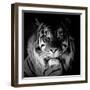 Tiger, 2017-Eric Meyer-Framed Photographic Print