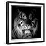 Tiger, 2017-Eric Meyer-Framed Photographic Print