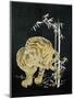 Tiger and Bamboo-null-Mounted Premium Giclee Print