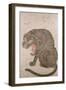 Tiger and Bats (17th/18th Century)-null-Framed Giclee Print