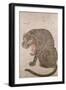 Tiger and Bats (17th/18th Century)-null-Framed Giclee Print