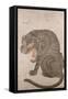 Tiger and Bats (17th/18th Century)-null-Framed Stretched Canvas