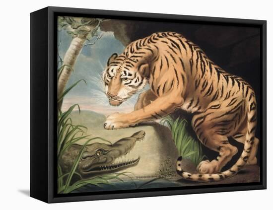 Tiger and Crocodile, Engraved by Charles Turner (1773-1857), Pub. by James Daniell and Co., 1799-James Northcote-Framed Stretched Canvas