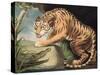 Tiger and Crocodile, Engraved by Charles Turner (1773-1857), Pub. by James Daniell and Co., 1799-James Northcote-Stretched Canvas