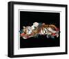 Tiger And Cub-Nancy Tillman-Framed Art Print