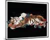 Tiger And Cub-Nancy Tillman-Mounted Art Print