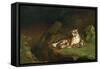 Tiger and Cubs-Jean Leon Gerome-Framed Stretched Canvas