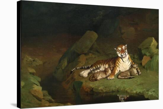 Tiger and Cubs-Jean Leon Gerome-Stretched Canvas