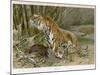 Tiger and Its Freshly Killed Prey a Deer in This Case-Wilhelm Kuhnert-Mounted Photographic Print