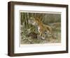 Tiger and Its Freshly Killed Prey a Deer in This Case-Wilhelm Kuhnert-Framed Photographic Print