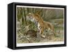 Tiger and Its Freshly Killed Prey a Deer in This Case-Wilhelm Kuhnert-Framed Stretched Canvas