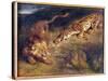 Tiger and Lion-Eugene Delacroix-Stretched Canvas
