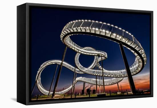 Tiger and Turtle At Dawn-Holger Schmidtke-Framed Stretched Canvas