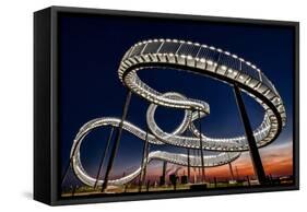 Tiger and Turtle At Dawn-Holger Schmidtke-Framed Stretched Canvas