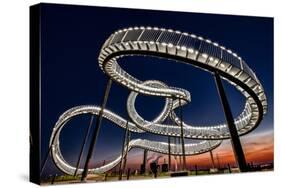 Tiger and Turtle At Dawn-Holger Schmidtke-Stretched Canvas