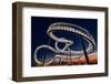 Tiger and Turtle At Dawn-Holger Schmidtke-Framed Photographic Print