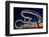 Tiger and Turtle At Dawn-Holger Schmidtke-Framed Photographic Print