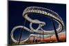 Tiger and Turtle At Dawn-Holger Schmidtke-Mounted Photographic Print