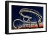 Tiger and Turtle At Dawn-Holger Schmidtke-Framed Photographic Print