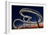 Tiger and Turtle At Dawn-Holger Schmidtke-Framed Photographic Print