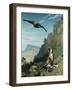 Tiger and Vulture-Jean Leon Gerome-Framed Giclee Print