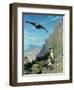 Tiger and Vulture-Jean Leon Gerome-Framed Giclee Print