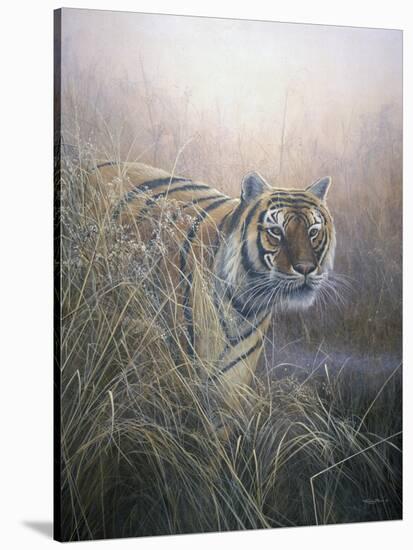 Tiger at Dawn-Jeremy Paul-Stretched Canvas