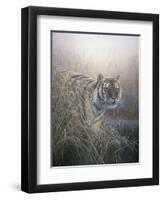 Tiger at Dawn-Jeremy Paul-Framed Premium Giclee Print