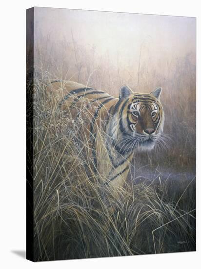 Tiger at Dawn-Jeremy Paul-Stretched Canvas